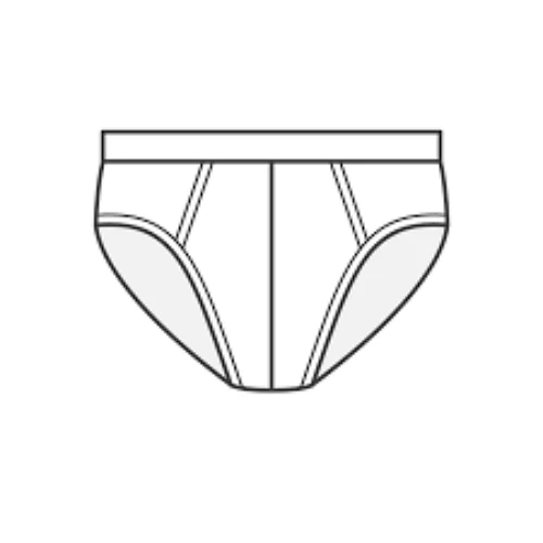 BRIEFS